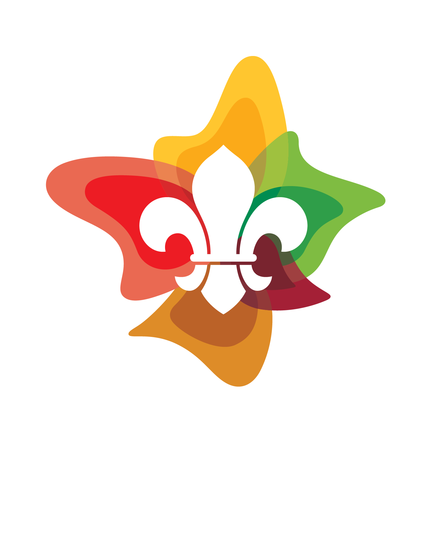 Tamborine Mountain Scout Group