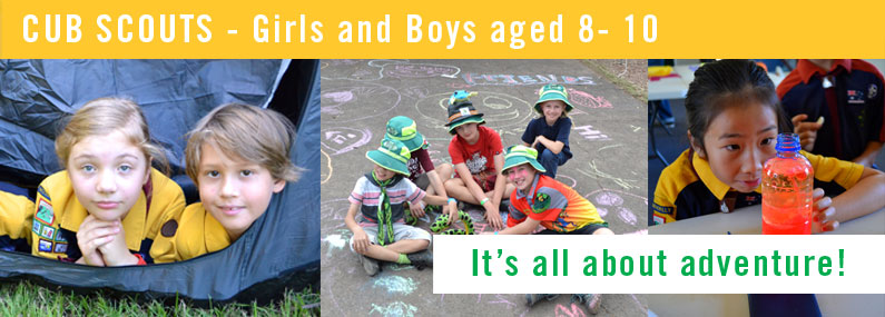 Tamborine Mountain Cub Scouts