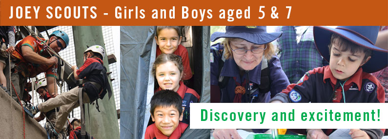 Tamborine Mountain Joey Scouts